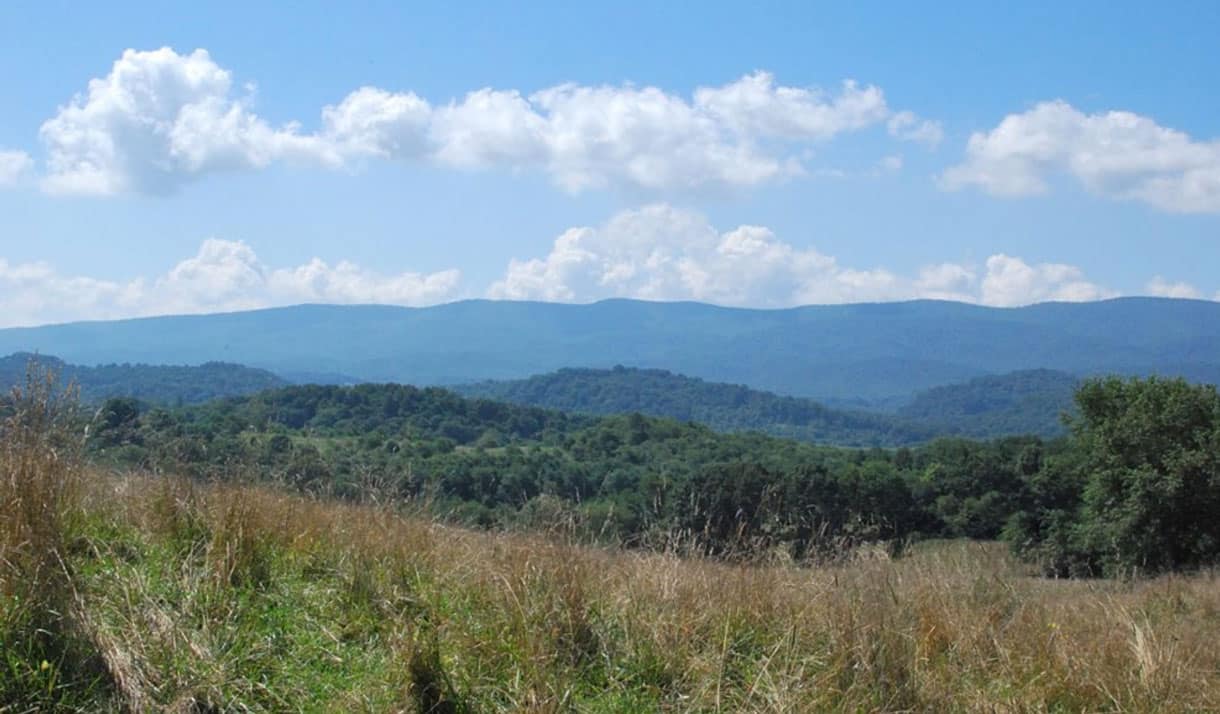 The View from Davis Valley Distillery Photo