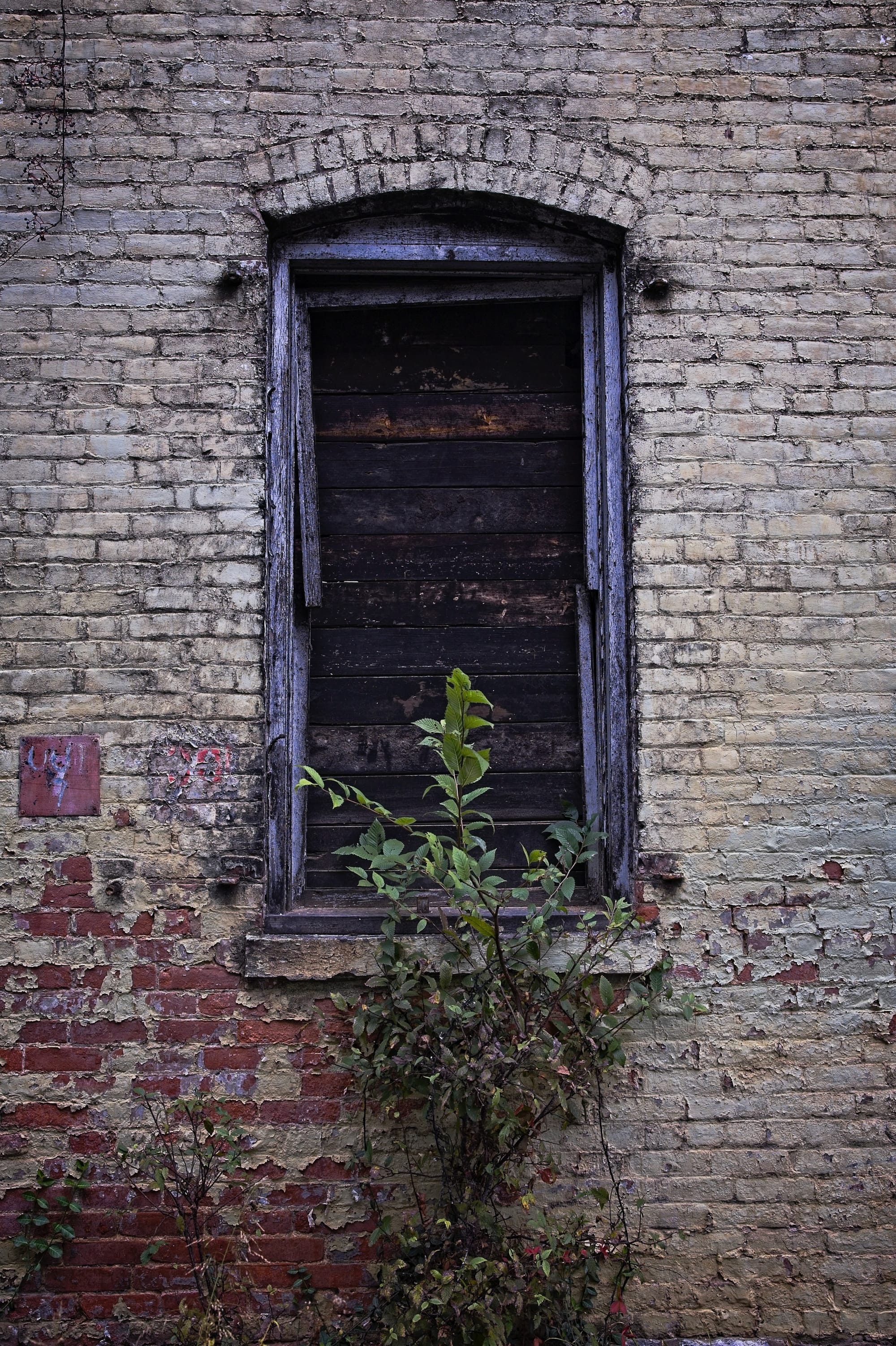 Tours, tastings, bottle shares and BBQ highlight Bourbon & Banter ’25 Summit