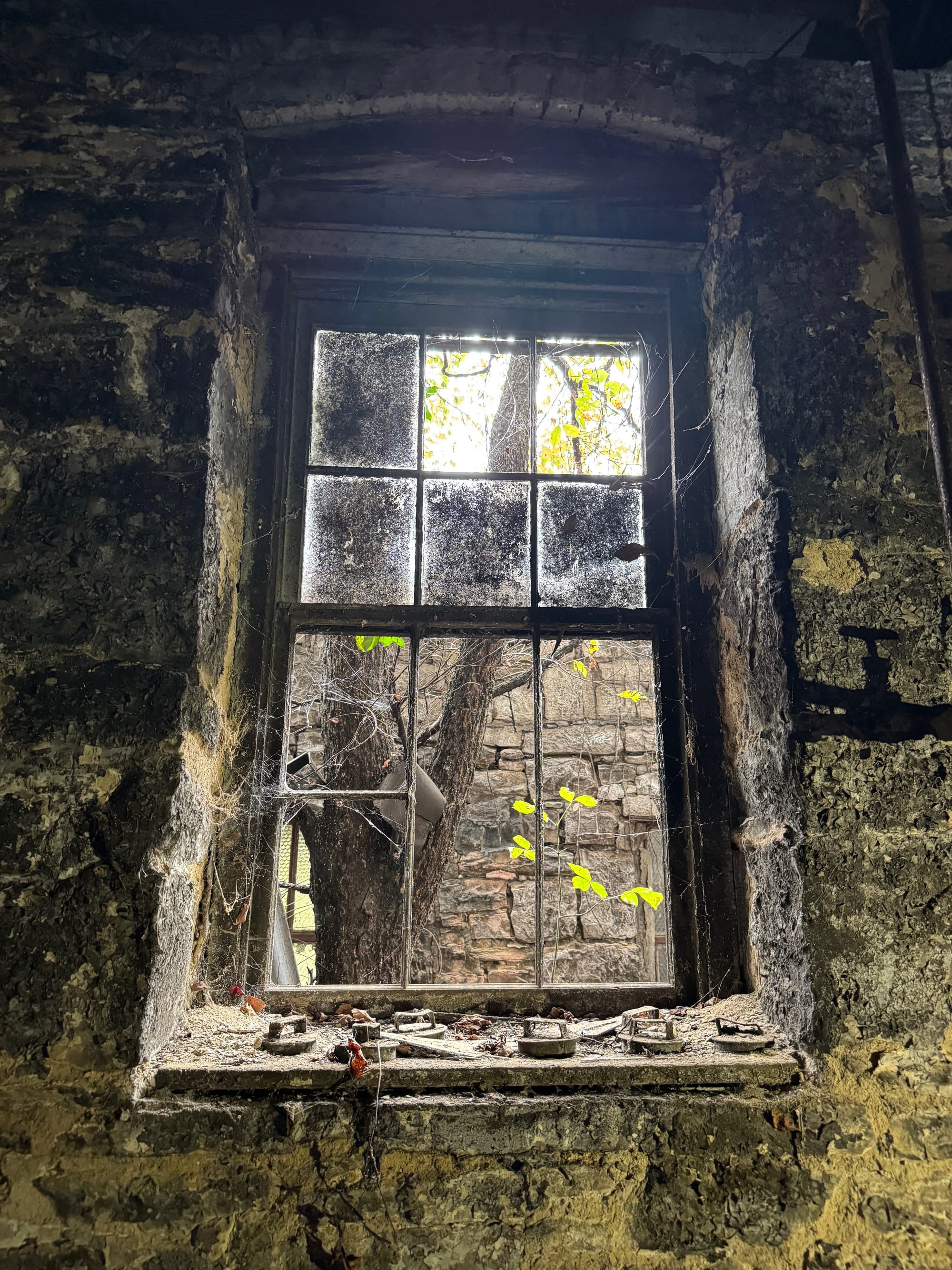 Tours, tastings, bottle shares and BBQ highlight Bourbon & Banter ’25 Summit