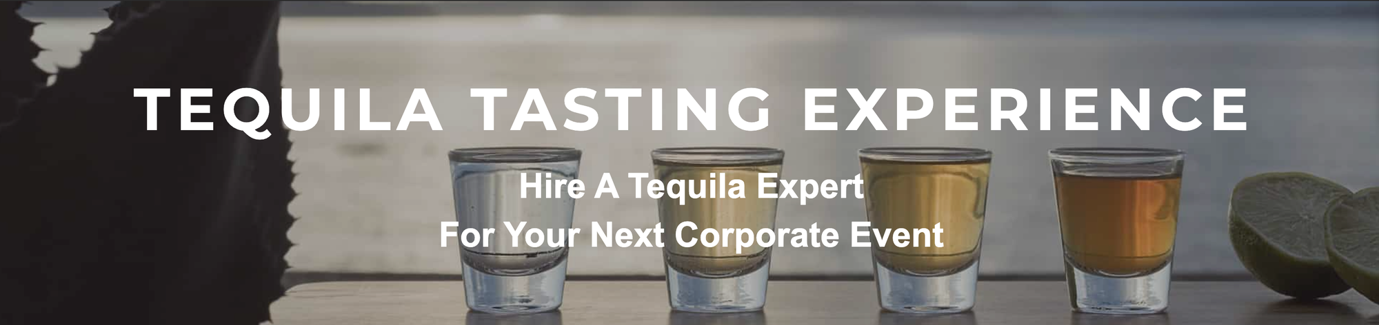 Tequila Tasting Experience