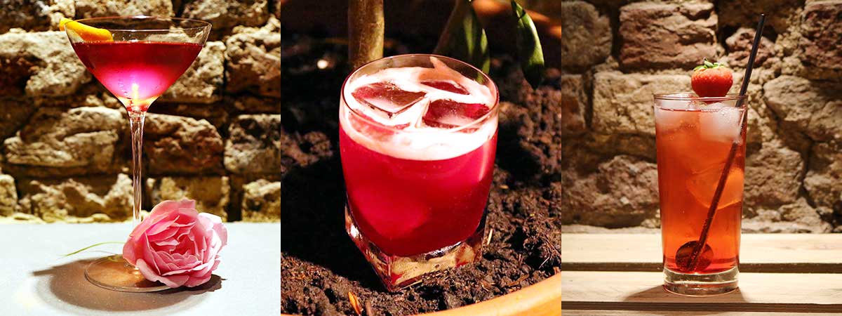 Cocktail Trends and Bourbon Header