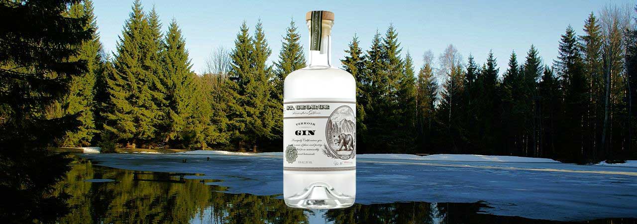 St. George Terroir Gin Review Header