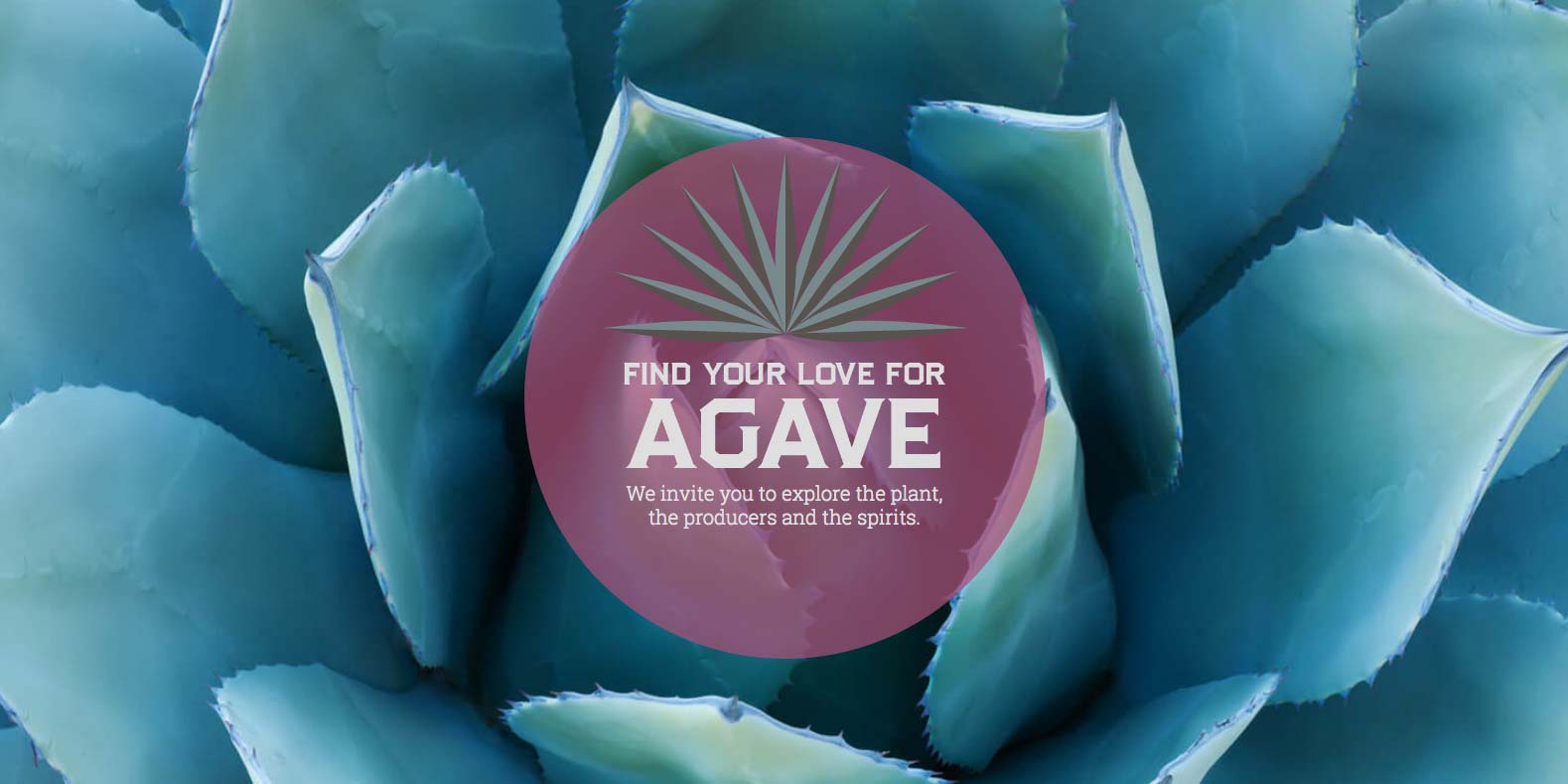 Great Agave Website Header