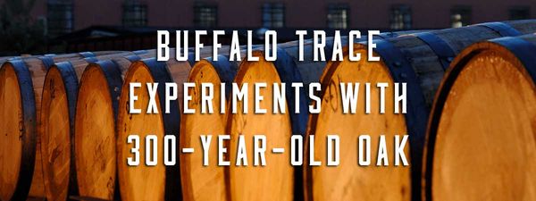 Buffalo Trace Distillery Experiments with 300-Year-Old Oak