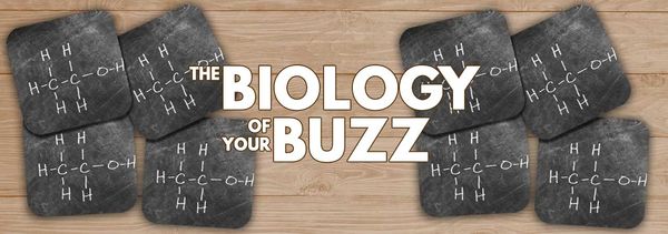 The Biology of Your Buzz Header