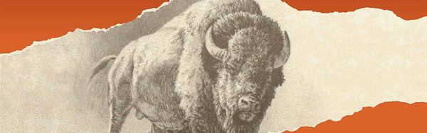 Buffalo, Barrels, & Bourbon Book Review Header